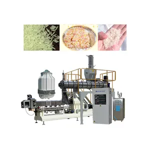 Takviyeli pirinç çekirdekleri makineleri üreticisi çin Jinan DG makineleri/otomatik ekstrüde beslenme pirinç üretim hattı çin