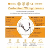 Rangkaian Kabel Berinsulasi PVC OEM dengan Pemasang Sekring Zh Ph Eh Xh untuk Perakitan Kabel Otomotif dalam Aplikasi Transportasi Rel Peralatan