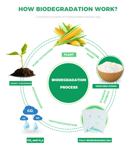 Impresión personalizada Biodegradable de mayor calidad impermeable con cremallera bolsa de plástico para juguetes sexuales - Product Image 5