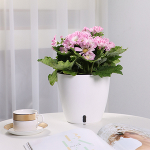 <span class=keywords><strong>Maceta</strong></span> de plástico moderna de alta calidad a bajo precio, <span class=keywords><strong>maceta</strong></span> redonda de orquídeas con riego automático, decoración de plantación blanca para escritorio, hogar y oficina - Product Image 3