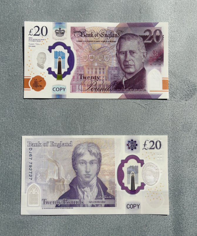 Blanc 20 King Plastique (50 pièces/PACK)