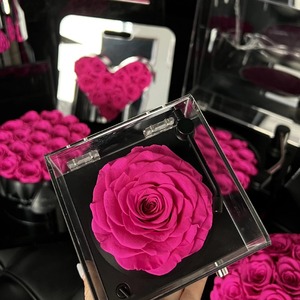 2024 fournitures florales décor d'événement boîtes Saint-Valentin violet rose <span class=keywords><strong>éternelle</strong></span> fleur préservée Eterna - Product Image 3