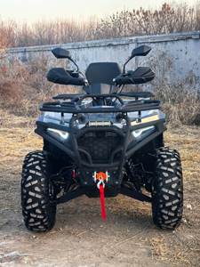 <span class=keywords><strong>Quad</strong></span> 4x4 tout-terrain 125cc 200cc 400cc 500cc pour adultes, VTT, UTV, véhicule utilitaire agricole, moto tout-terrain pour parcs sportifs - Product Image 2