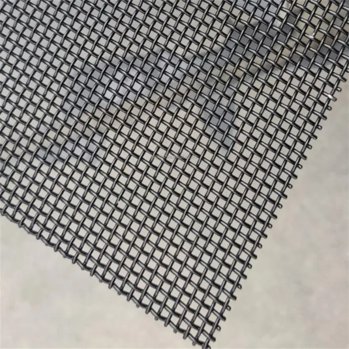 Black Coated Anti Theft SS304 316 Security Stainless Steel Wire Mesh Window Door Fly Screen