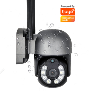 Cámara de Seguridad TUYA SMART LIFE 1080p para Exteriores, Visión Nocturna, Wifi, PTZ, Tipo Domo, Color Gris - Product Image 1