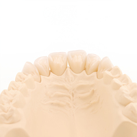 Modèle dentaire en zircone Ecolab le mieux noté pour la pratique des étudiants en dentisterie et la restauration métal-céramique, conforme ISO 9001