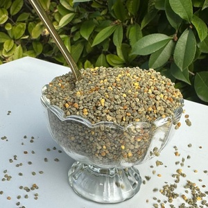 Polen de Abeja Mixto de Alta Calidad, Polen de Abeja en Polvo al por Mayor, Polen de Abeja Saludable a Granel - Product Image 3