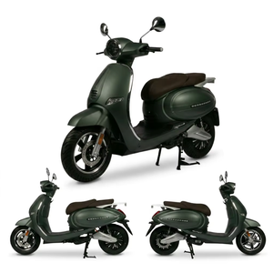 Motocicleta Eléctrica NEWBOT Totoro Estilo Vintage, 3000W, Batería de Litio de 72V, Largo Alcance de 150km, 95km/h, <span class=keywords><strong>Homologada</strong></span> por la CEE - Product Image 3