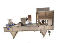 Machine de remplissage et de scellage automatique de céréales d'avoine et de poudre de lait - Solution d'emballage à commande servo