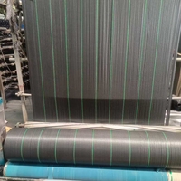 Toile géotextile pour sous-couche de gravier, tissu de drainage pour couverture du sol, toile anti-mauvaises herbes |   Adapté au sol et hautement perméable