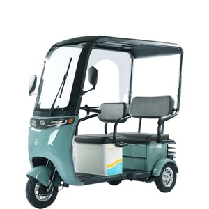 Triciclo Eléctrico de Acero al Carbono de 48V 20Ah en Oferta, Scooter de 3 Ruedas con Potencia de 500W y Certificación EEC - Product Image 1