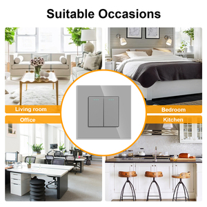 Wenzhou Factory Manufacture Various 16 a 2 Gang Wall Push Home Electrical <strong>Switches</strong> - Product Image 4