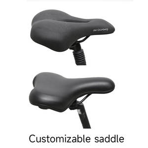 Vélo électrique urbain TXED Premium 700C 36V 250W <span class=keywords><strong>8</strong></span> vitesses, moteur central, autonomie 100 km, freins à disque hydrauliques - Product Image 3