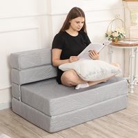 Futones de Tela Espuma, Sofás Pequeños, Colchón de Sofá Económico, Sofá Cama Plegable Moderno, Muebles Convertibles