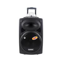 Kamu kalıp iki yönlü 100W 12V 4.5ah kaliteli 15 inç arabası hoparlör ile parti ışığı
