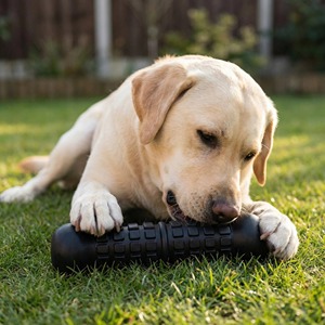 Juguetes chirriantes para perros de diseño personalizado para masticadores agresivos, juguetes resistentes para perros de razas medianas y grandes - Product Image 5