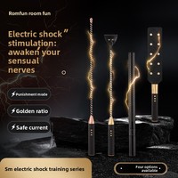 Accessoires pour adultes : Bâton et fouet électriques à intensités réglables, pour la punition BDSM, l'entraînement et les jeux SM