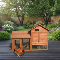 Mobilier moderne et écologique personnalisé pour animaux de compagnie : Poulailler en bois et cage à canards avec motif imprimé, grande taille, pour l'extérieur et la ponte.