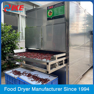 רשת חגורת סוג ירקות מסוע קסבה מכונת ייבוש עבור לחתוך קסבה שבבי - Product Image 4