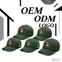 Casquette de baseball en polyester imperméable de haute qualité, 5 panneaux, broderie 3D, logo en patch de caoutchouc, ajustable, printemps-été, vente en gros