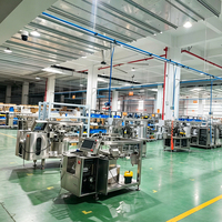 Machine d'emballage entièrement automatique GDS350B-08 pour sachets à bec verseur, largeur de film 220-350 mm, contrôle PLC, pompe à piston pour pâtes et sauces épicées épaisses