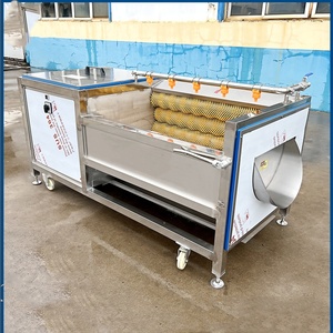 Hot Sale Fruit Cleaning Roller <b>Brush</b> Washer Machine with 304 Stainless Steel 220/380V Easy to Operate - Product Image 5