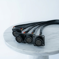 Câble d'extension différentiel pour moto électrique, accessoire informatique, fil de cuivre étamé, conducteur PTFE, fil personnalisé