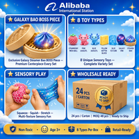 Southpeak Toy Squishy Fun Box 8PC Jouets sensoriels à presser Axolotl Mesh Ball Butter Ice Cube Galaxy Bao BOSS 21x19cm MOQ48 OEM WS