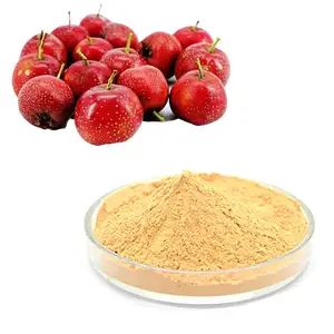 Fanctory Supply Hawthorn Fruit Powder Hawthorn Berry Extract Powder Hawthorn Extract