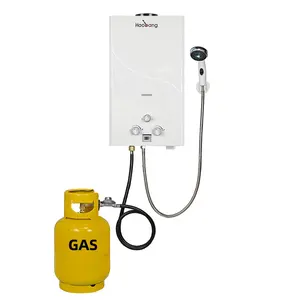 Hot Selling Best Price Chinese Factory Direct Sales Instant Tankless Gas Fired Water Heater