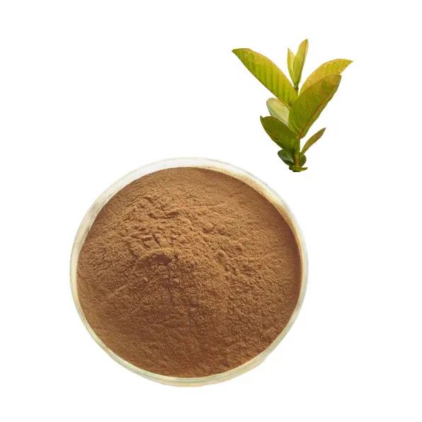 Best Price High Quality Guava Extract Guava Leaf Extract Pure Guava Leaf Extract Powder