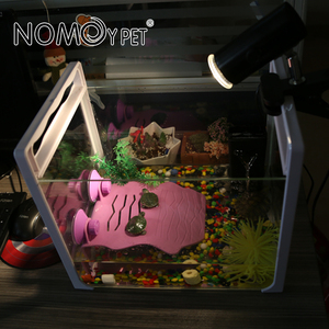 NOMOYPET – <span class=keywords><strong>Aquarium</strong></span> de bureau en verre Transparent avec poignée blanche, prix d'usine - Product Image 6