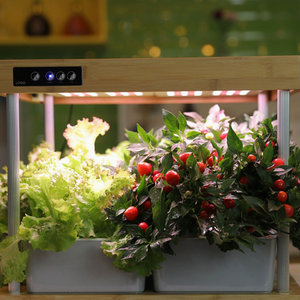 Sistema Hidropónico Inteligente con Lámpara <span class=keywords><strong>de</strong></span> Crecimiento para Plantas <span class=keywords><strong>de</strong></span> Bambú Jardín Hidropónico Inteligente para Escritorio <span class=keywords><strong>de</strong></span> Oficina Interior - Product Image 5