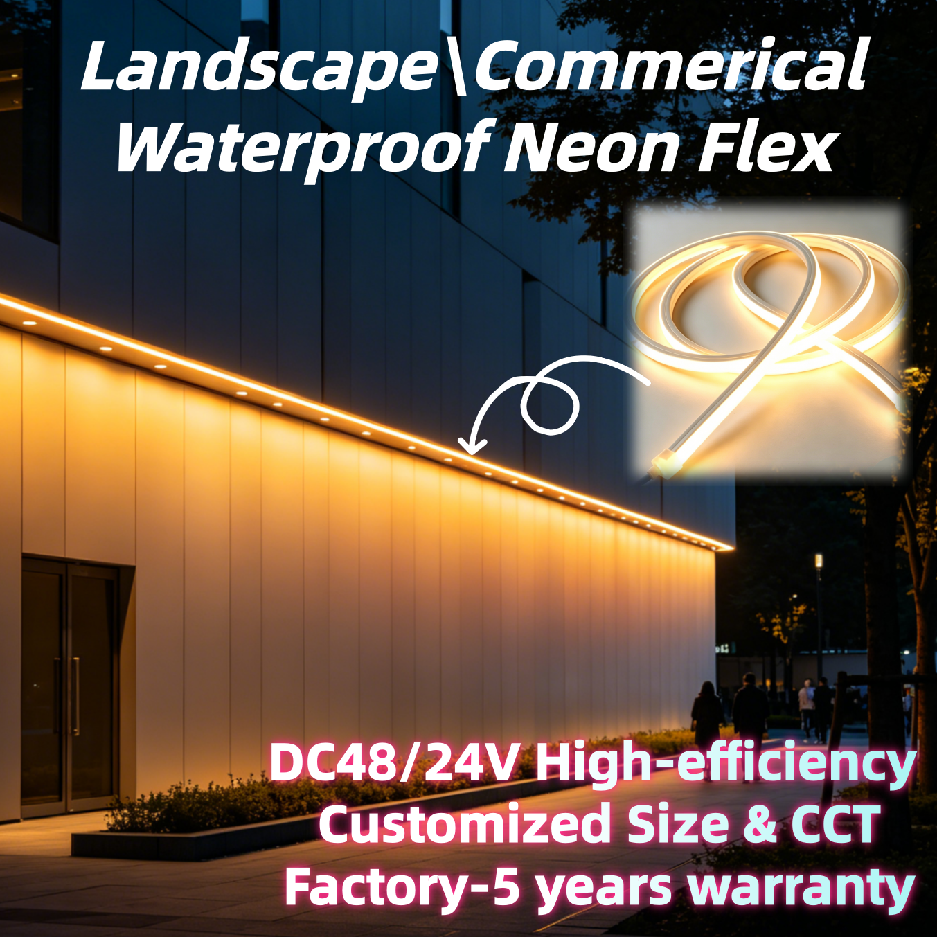 IP68 Facade Light 48V/24V LED Neon Linear Light Super Long High-efficiency CCT Customized for Underwater\Indoor\Landscape Light