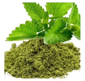 ผงใบตุลซีคุณภาพสูง Ocimum Sanctum ผงใบแห้ง วัตถุดิบจากพืชธรรมชาติ ขายส่งจำนวนมาก - Product Image 5