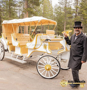 Chariot à chevaux électrique classique à quatre roues de haute qualité Q235B Structure en acier Garantie de 2 ans Économique à trois rangées - Product Image 4