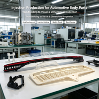 Pièces automobiles OEM : Cache de feux arrière personnalisé, moulé par injection multi-matériaux de haute précision pour l'extérieur des véhicules
