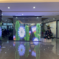 Écran d'affichage en verre led transparent hd pour porte extérieure P20