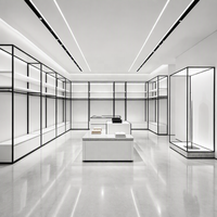 Système complet de présentoirs et de rayonnages pour vêtements avec éclairage LED pour boutiques de prêt-à-porter et magasins de vêtements sur mesure