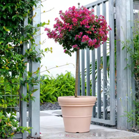 Pot Tanaman Bonsai Mini Selfwatering Ukuran Besar untuk Penggunaan di Taman Luar Ruangan, Plastik PP Ramah Lingkungan dan Tahan Lama dengan Lubang Drainase