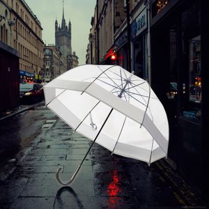 Parapluie Rétro Britannique Apollo en Forme de Cage à Oiseaux, Bord Large Transparent avec Impression de Logo Personnalisé, Style Européen, Vente en Gros - Product Image 1