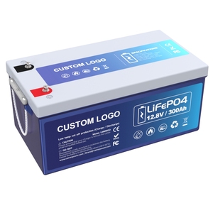 Paket Baterai Lithium Ion Li-ion LifePo4 12V 24V 36V 48V 23Ah 50Ah 100Ah 200Ah 300Ah yang Dikustomisasi untuk Robot Drift Cart - Product Image 1