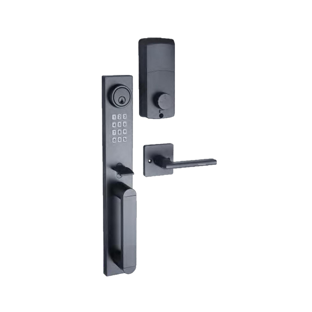ZEISE-IKON Smart Door Lock with for Network Fingerprint & Password Unlock for Glass Door Home Use