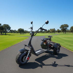 Tricycle électrique à <span class=keywords><strong>3</strong></span> roues 2000w 60V pour adultes, <span class=keywords><strong>10</strong></span> pouces, en alliage d'aluminium, étanche, moto électrique à <span class=keywords><strong>3</strong></span> roues - Product Image 1