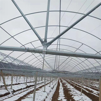 Cerceau en acier galvanisé Zigeng de haute qualité pour serres agricoles, petit tuyau de raccordement fixe à faible coût pour serres