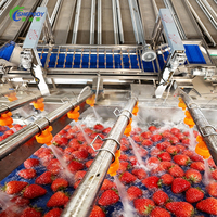 Multifunctionele was- en drooglijn voor rozijnen, automatische reinigingsmachine voor appels en dadels, spuitwas- en sorteerlijn voor fruit