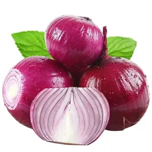 Fresh Red Onions Bulk Packing 20kg Mesh Bag - China Onion, Fresh Onion