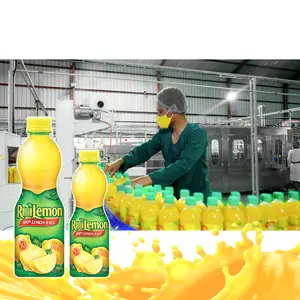 Automatic 3 In 1 Pet 4000bph Plant Fruit Juice Complete Filling Machine Production Line