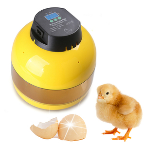 Incubateur d'œufs automatique CE, 98%, taux d'éclosion famille 9-12 œufs, petit incubateur <span class=keywords><strong>Janoel</strong></span> <span class=keywords><strong>10</strong></span>, incubateur d'œufs 9-12 pièces - Product Image 1