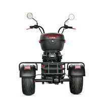 Nuevo Modelo Loyal Citycoco, Scooter Eléctrico de 3 Ruedas, Citycoco 3000w, Triciclo Eléctrico con Llantas Anchas, Citycoco de Tres Ruedas, Triciclo 4000w